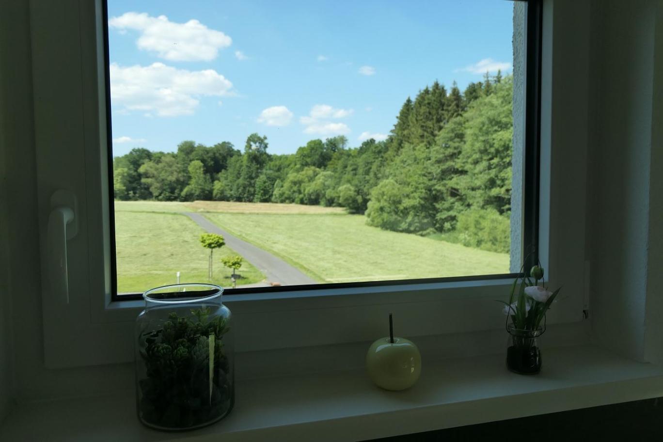 Fewo Hof Elbbachtal Westerburg  Quarto foto